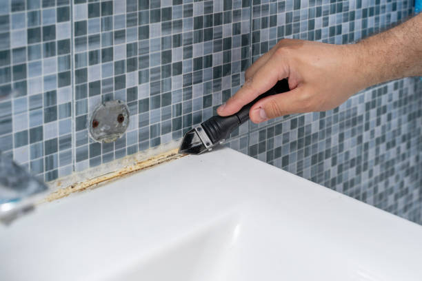 Best Basement Mold Remediation in Manistique, MI