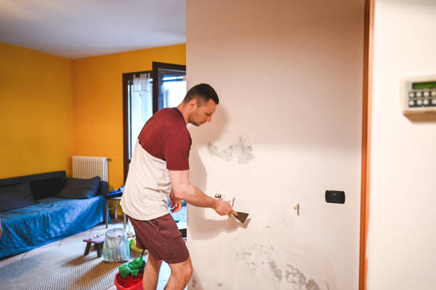 Best Residential Mold Remediation in Manistique, MI